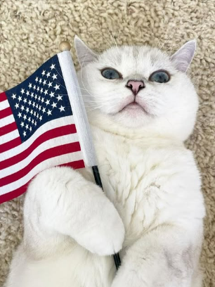 White Coffee Cat holding a flag